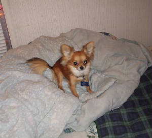 picture024.jpg