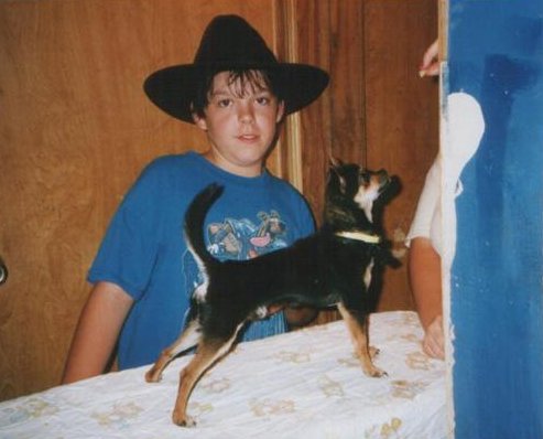 rhondaschihuahua.jpg
